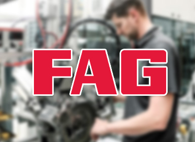 德国FAG轴承